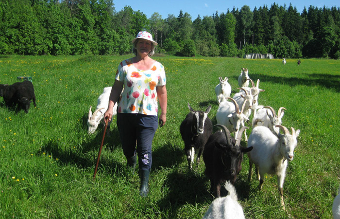 ферма Лесная цесарка, Солнечногорский район
