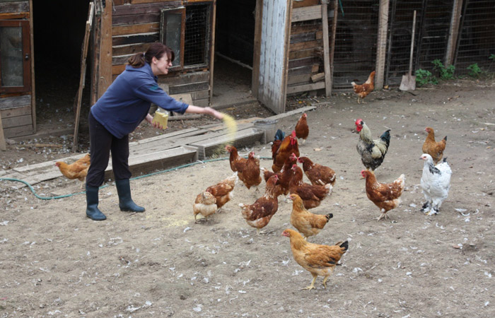 база отдыха Кузнецово, Клинский район