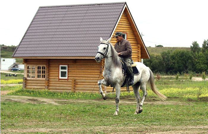 КФХ Ольгино