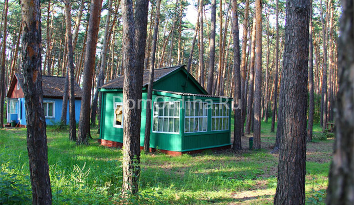 Прииртышье омск сайт